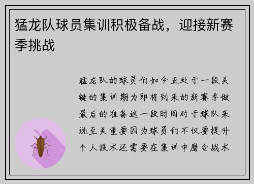 猛龙队球员集训积极备战，迎接新赛季挑战