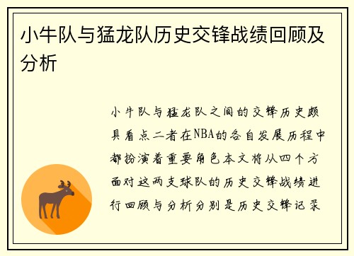 小牛队与猛龙队历史交锋战绩回顾及分析